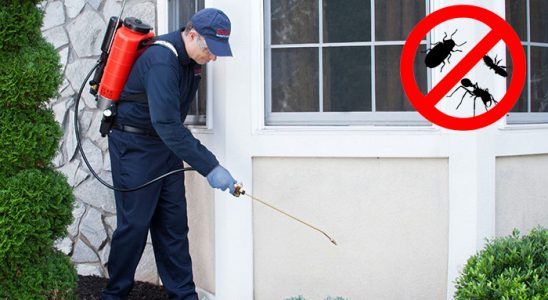 Villakent Kemirgen İlaçlama böcek ilaçlama ve haşere kontrolü — ilaclama-tr.com